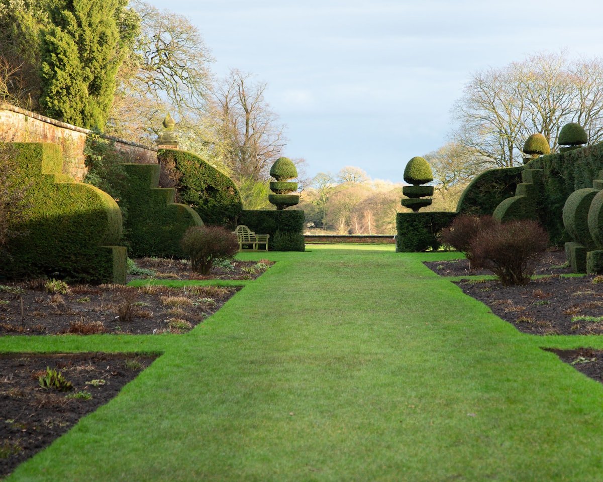 Lawn and mature planting in the Sterling Ridge common area